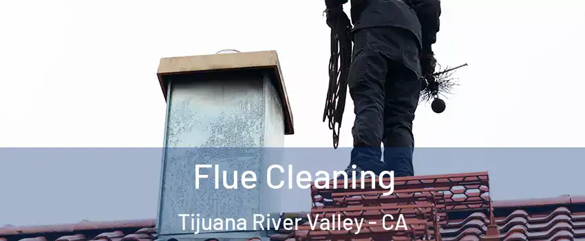 Flue Cleaning Tijuana River Valley - CA