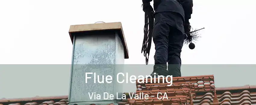 Flue Cleaning Via De La Valle - CA