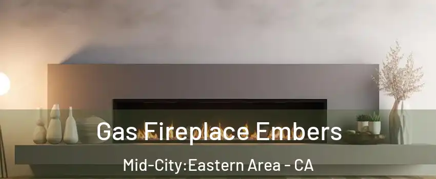 Gas Fireplace Embers Mid-City:Eastern Area - CA