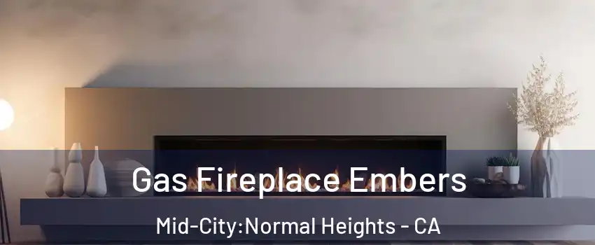 Gas Fireplace Embers Mid-City:Normal Heights - CA