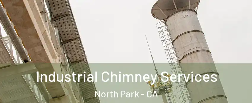 Industrial Chimney Services North Park - CA