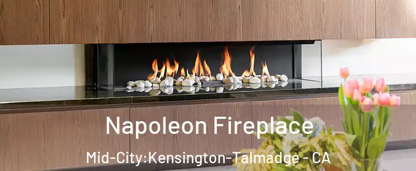 Napoleon Fireplace Mid-City:Kensington-Talmadge - CA