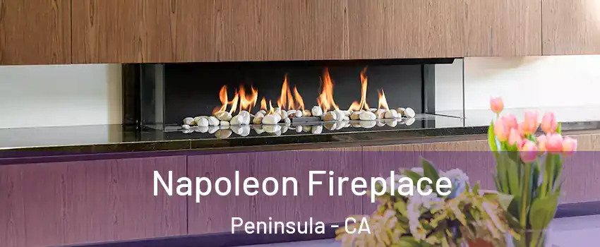Napoleon Fireplace Peninsula - CA