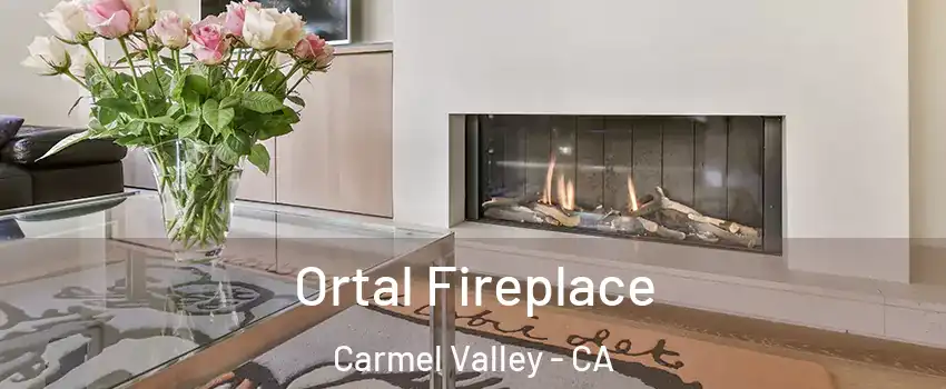 Ortal Fireplace Carmel Valley - CA