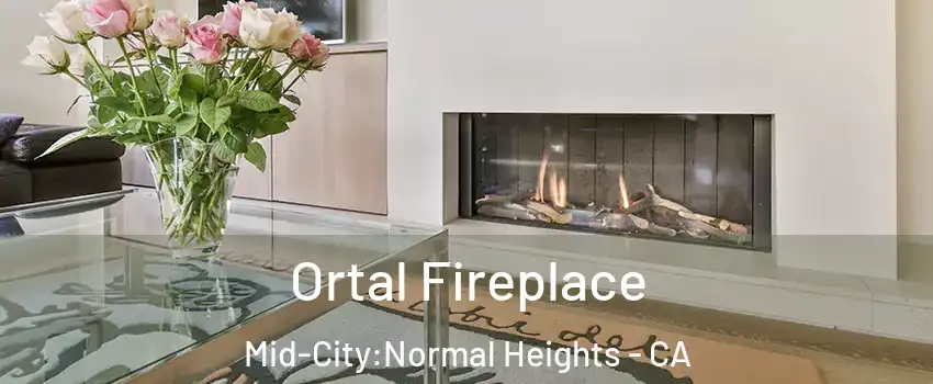 Ortal Fireplace Mid-City:Normal Heights - CA