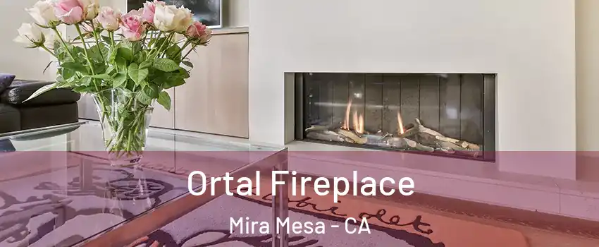 Ortal Fireplace Mira Mesa - CA
