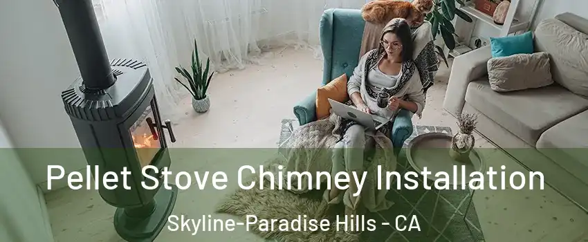 Pellet Stove Chimney Installation Skyline-Paradise Hills - CA